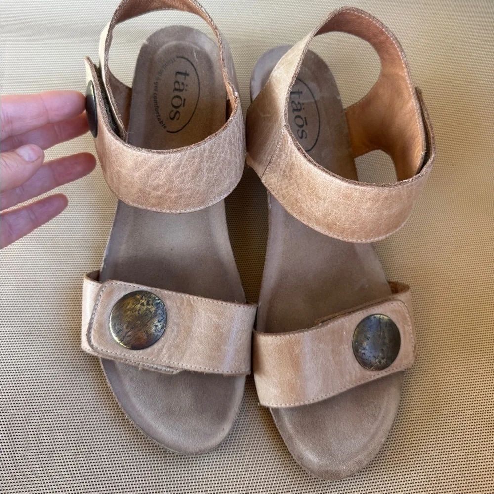 Taos Footwear taos carousel
